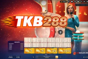 the bingo spot x tkb288