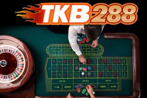 คู่มือเล่นรูเล็ตอย่างละเอียดที่ TKB288