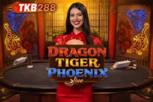 Evolution มังกร เสือ ฟีนิกซ์ ที่ Tkb288